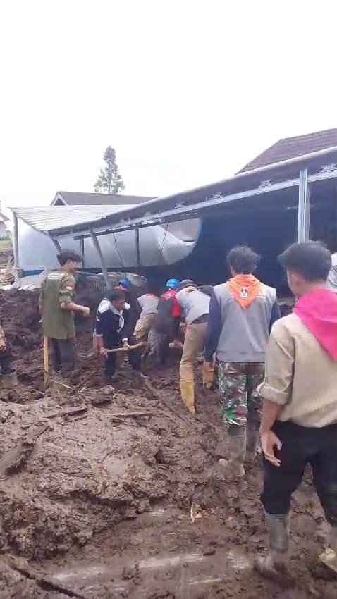 WhatsApp Image 2026-02-03 at 15.36.54 (2)