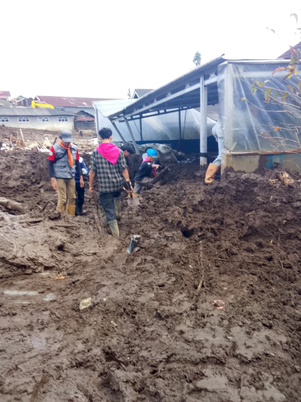 WhatsApp Image 2026-02-03 at 15.36.54